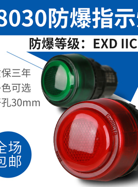YH8030防爆信号指示灯24V220V380V红绿ExdeIIC防爆配电箱LED灯珠