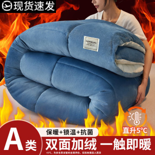 羊羔绒被子2024新款 棉被被芯冬天宿舍单人秋冬被加厚保暖10斤 冬季