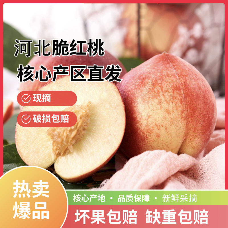 脆甜桃子新鲜水果桃子毛桃现摘当季时令水果新鲜脆桃应季果脆红桃