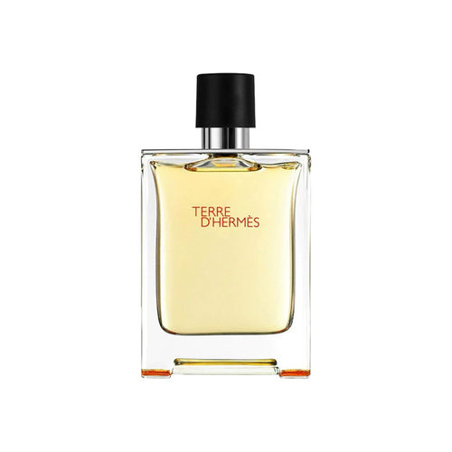 Hermes/爱马仕大地男士淡香水EDT100ml持久木质调