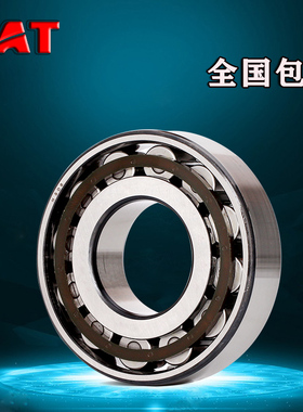 TAT进口轴承N310/P4德国311定位312圆柱313滚子314减速315ETVP/P5