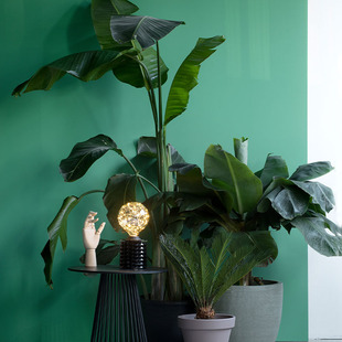 CALEX原创 繁星点点 星球灯ins北欧浪漫氛围灯生日情人节礼物