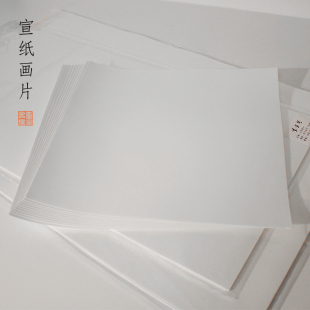 素宣堂 宣纸生宣画片软卡纸加厚手工托裱画芯成人学生写意国画书法作品用纸空白工笔国画书法纸可定制 便携式