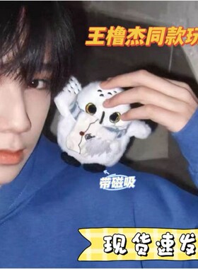 王橹杰同款围巾海德薇站肩磁吸公仔可爱毛绒玩偶具猫头鹰挂件配