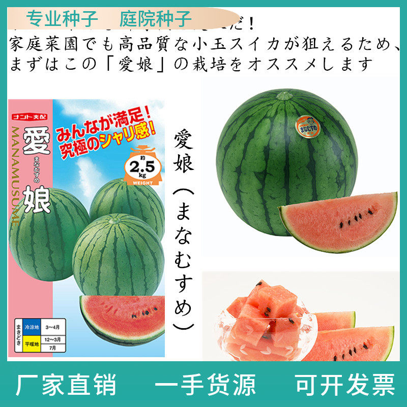 西瓜素材模板 西瓜图片下载 小麦优选