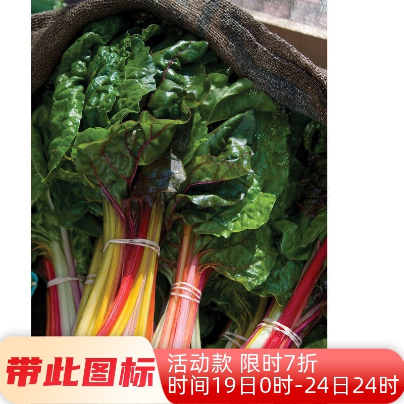 彩虹叶用甜菜种合集子 金叶甜菜种子四色叶用甜菜种子 沙拉菜种子,农用物资,蔬菜种子/种苗,淘宝优惠券,粉丝福利购,淘宝优惠卷