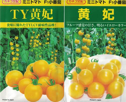 TY黄妃番茄种子黄果日本金子