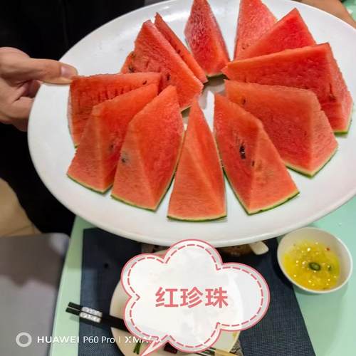 日本坂田红珍珠西瓜种子皮薄