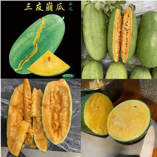 上海崩瓜种子三友崩瓜西瓜皮薄易裂橙黄肉肉质细嫩