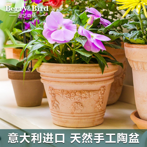 Berry&Bird园艺森林意大利进口花盆家用天然手工陶盆大号防水透气