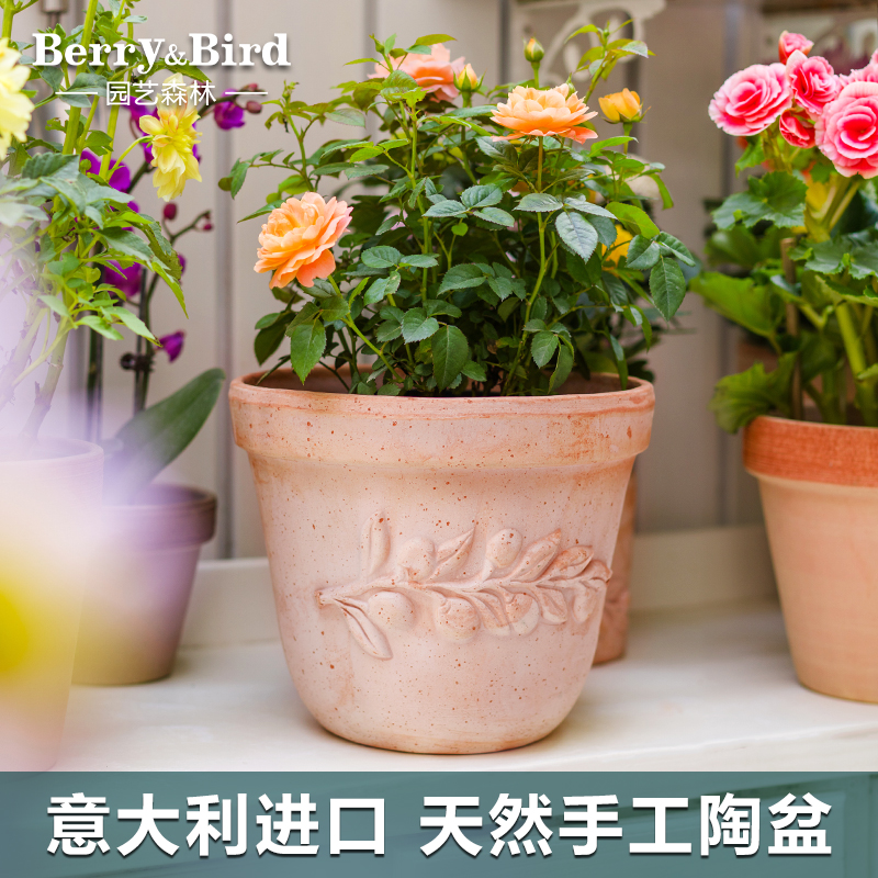 Berry&Bird园艺森林进口手工花盆家用阳台种花天然陶土盆大号方形