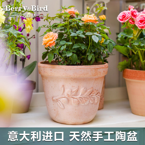 Berry&Bird进口陶盆手工制作