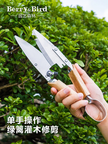 Berry&Bird园艺森林剪刀灌木绿篱修剪草坪绿化带园林家用盆景造型