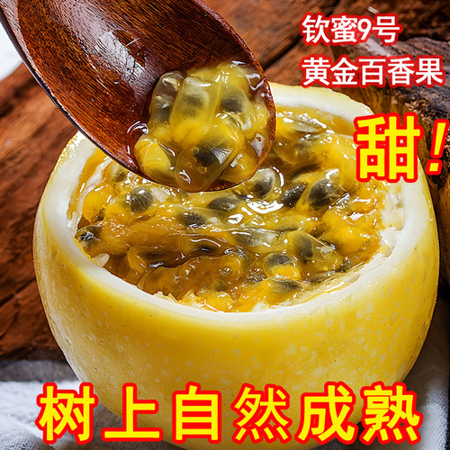 广西钦蜜9号纯甜黄金百香果