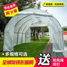 芽苗菜小暖房普通防冻花草阳台花棚1