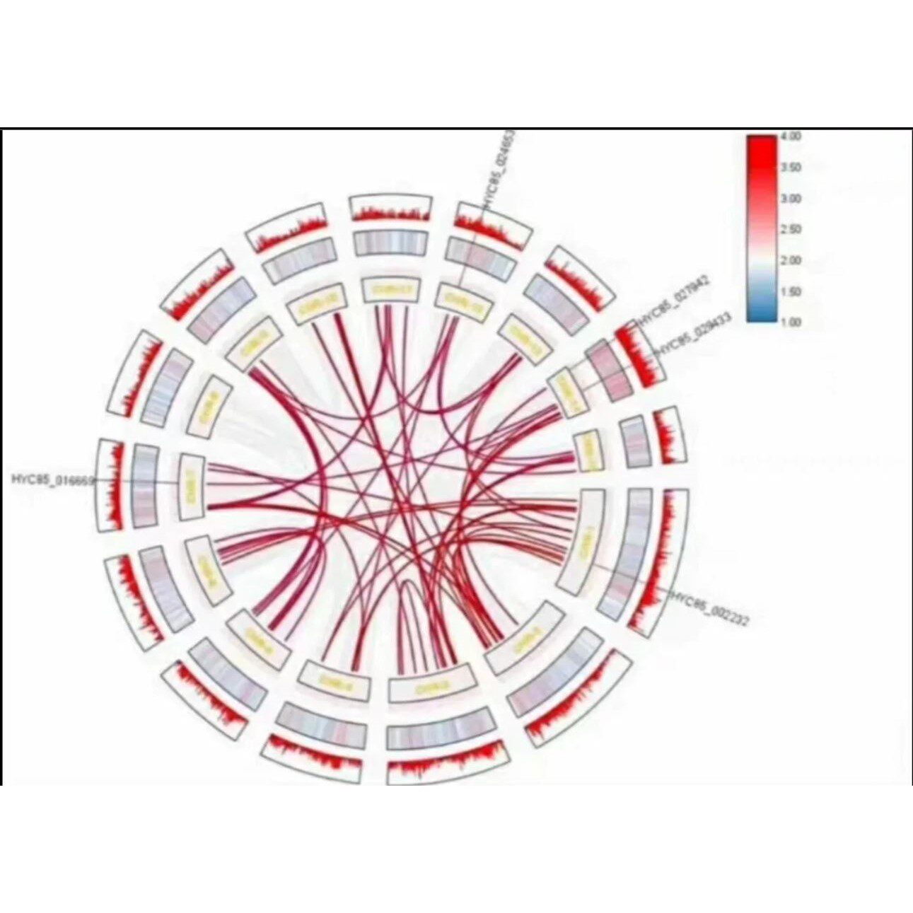 生信分析单细胞测序转录组数据分析tcga geo2-5分SCI生信代做服务