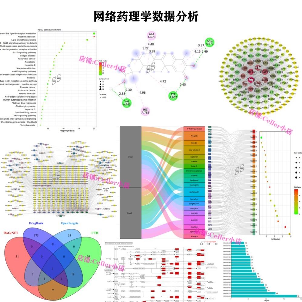 网络理分析中复方成分靶点机制分子对接TCMSP多数据库GEO加急