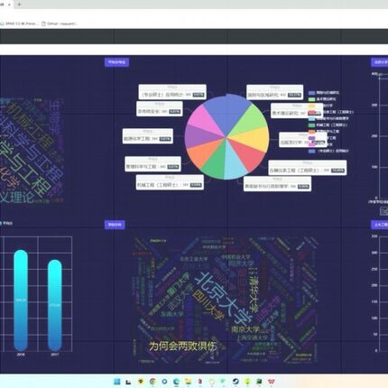 python代编程计算机项目设计大屏可视化数据处理/清洗/系统代做