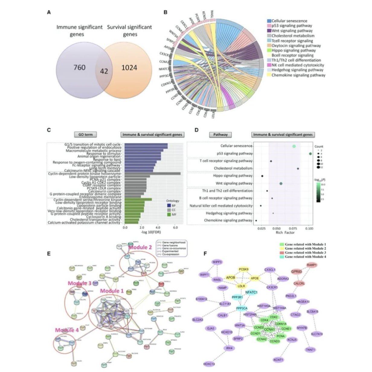 完全从零基础学生物信息Linux软件R语言 多组分析脚本基因组拼接