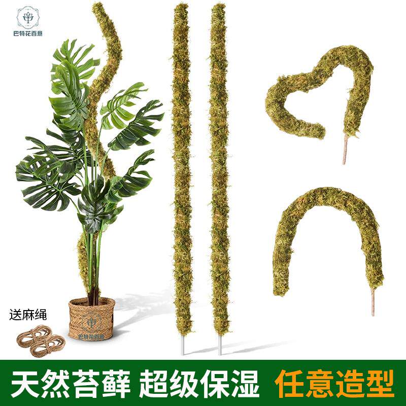 龟背竹水苔柱支撑杆老桩植物支架水台造型攀爬柱椰棕防倒伏苔藓柱图片