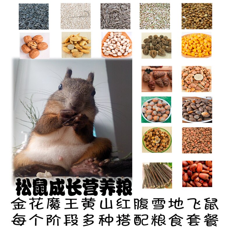 松鼠粮食专用的主粮零食幼崽粮飞鼠断奶饲料坚果榛子松子套餐用品图片
