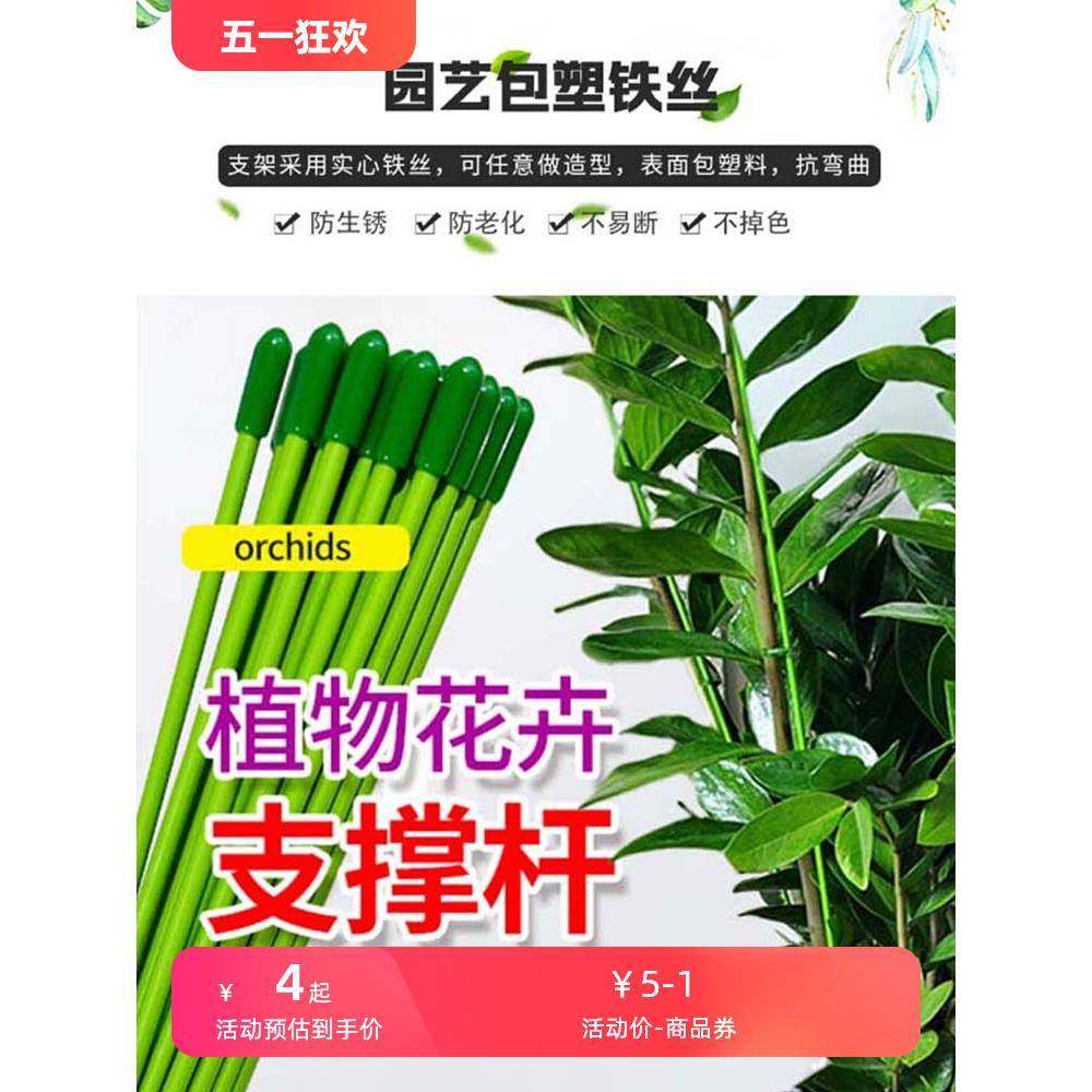 金钱树支撑杆花盆支架杆室内瓜果花卉植物园艺花架爬藤固定捆绑杆