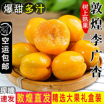 【顺丰空运】5斤敦煌李广杏新鲜杏子黄杏水果应季甜杏大杏子杏