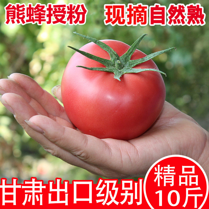 甘肃戈壁绿色认证西红柿新鲜自然熟沙瓤生吃水果番茄农家天然蔬菜