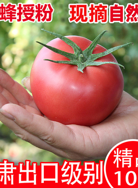 甘肃戈壁绿色认证西红柿新鲜自然熟沙瓤生吃水果番茄农家天然蔬菜