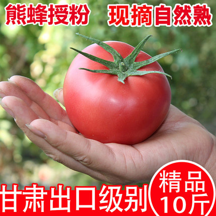 甘肃戈壁绿色认证西红柿新鲜自然熟沙瓤生吃水果番茄农家天然蔬菜