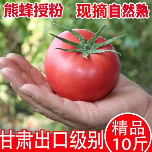 甘肃戈壁绿色认证西红柿新鲜自然熟沙瓤生吃水果番茄农家天然蔬菜