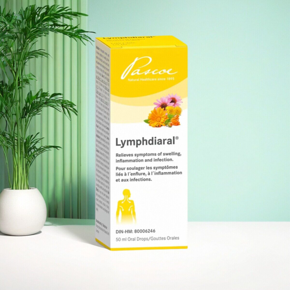现货 天然顺势 Pascoe Lymphdiaral drops 成分纯天然 消Yan滴剂