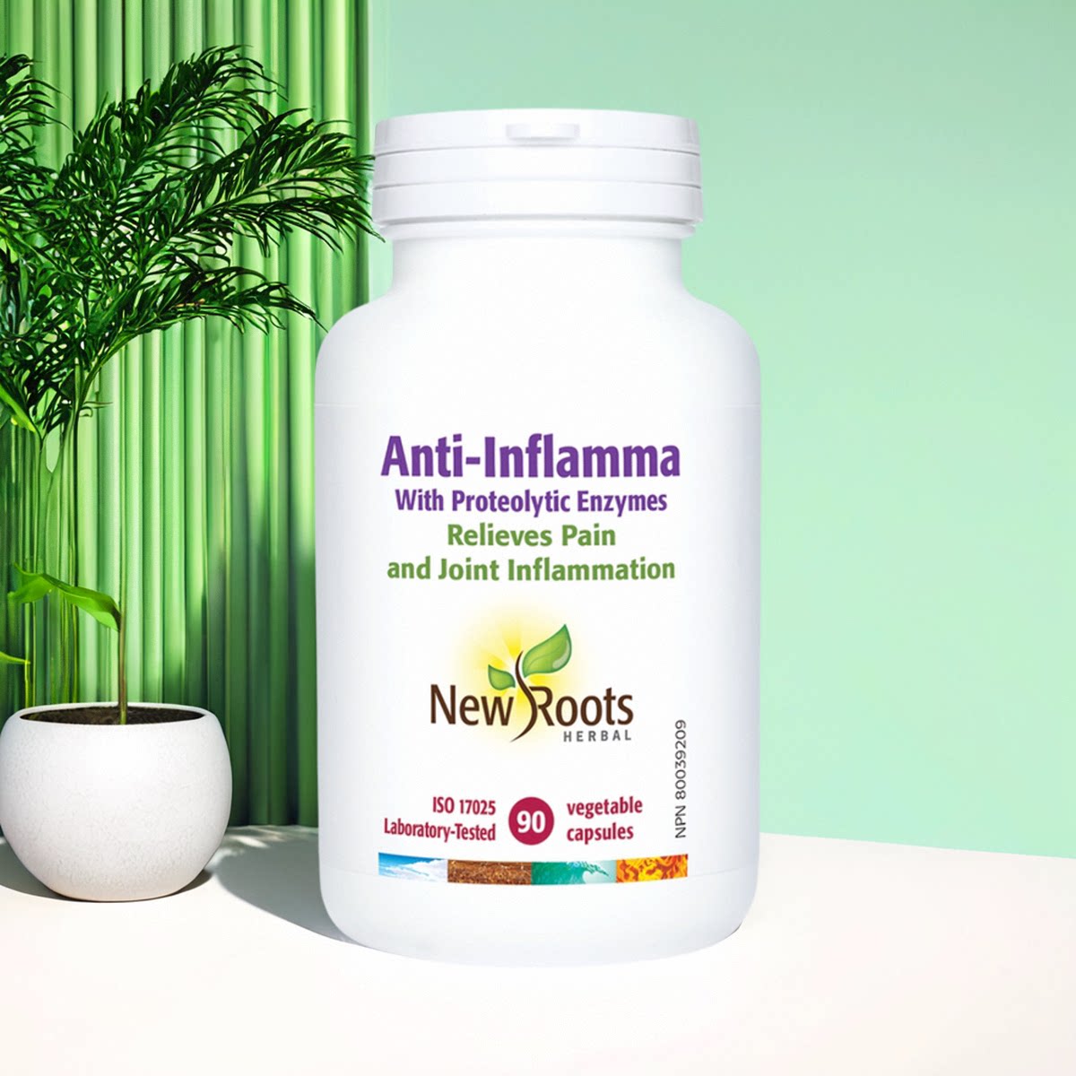 New Roots Anti-Inflamma 全身水解蛋白酶+姜黄 缓解关节不适