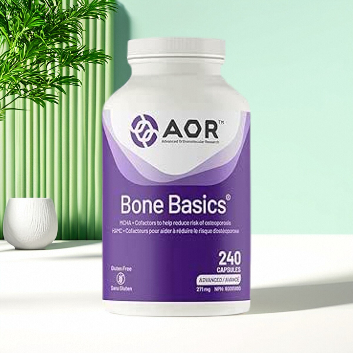 加拿大 AOR Bone Basics 骨骼健康补充剂 软骨修复 关节健康