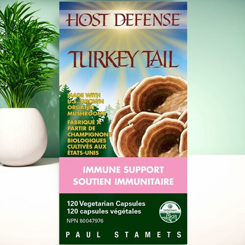 现货 加拿大 Host Defense Turkey Tail 火鸡尾蘑菇 免疫健康支持