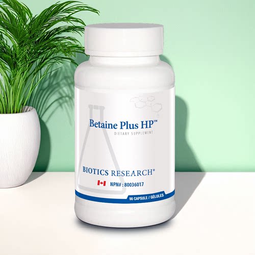 现货 加拿大 Biotics Research Betaine Plus HP 盐酸甜菜碱 消化