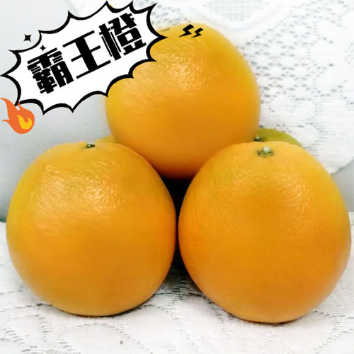 华农一科正宗赣南信丰脐橙霸王橙20斤装数量少先抢先得