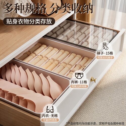 便携柜分格带盖内衣收纳盒