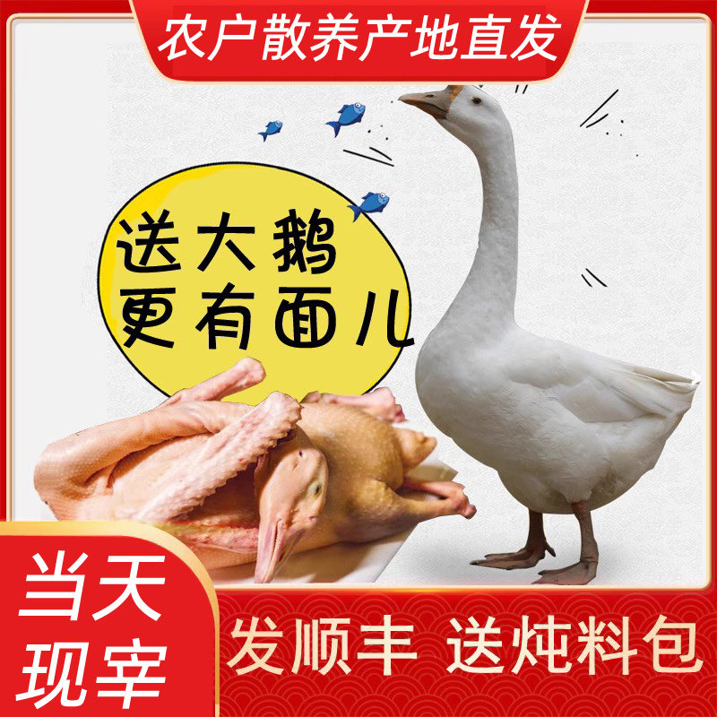 整只土鹅农家新鲜大鹅肉农村大白鹅冷冻东北铁锅炖鹅原料活体现杀,水产肉类/新鲜蔬果/熟食,鹅肉/鹅肉制品,淘宝优惠券,粉丝福利购,淘宝优惠卷