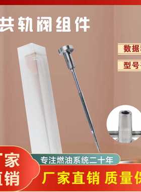 F00RJ03556 柴油阀组件 配0445120501 适用于博世喷油器 D1531