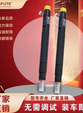 EJBR03401D 燃油共轨喷油器 适用于双龙爱腾享御2.0 德尔福 D0431