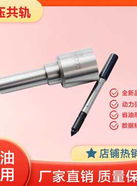 DLLA155P1514  DLLA156P1509  DLLA138P1533 博士共轨柴油喷油嘴