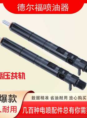 28490086  28534718  28457614 柴油机喷油器  适用德尔福喷油器