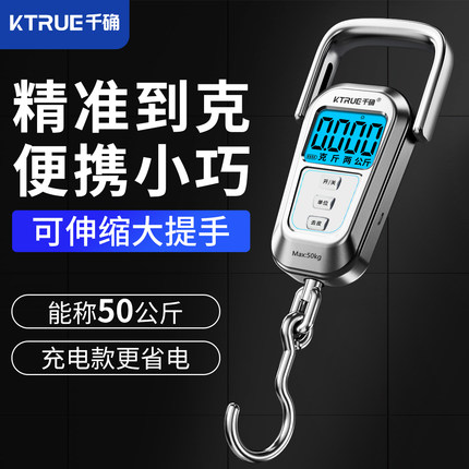 便携式手提电子秤精准家用小型弹簧称重器高精度商用克称随身携带