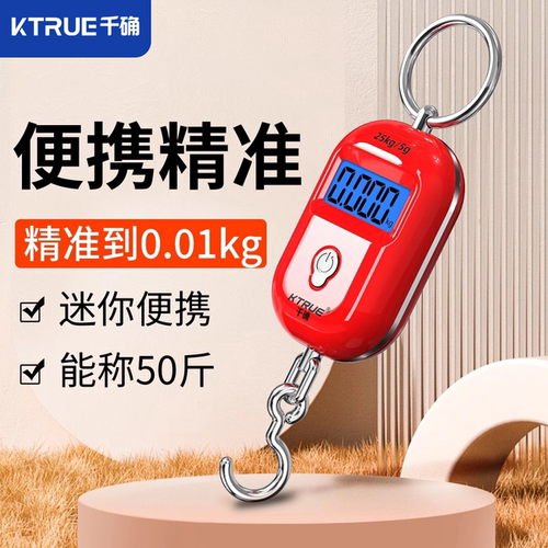 高精度手提电子秤便携式迷你精准