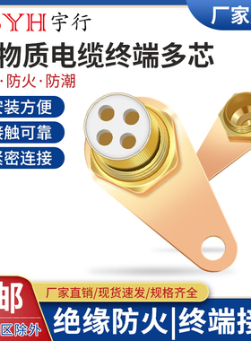 BTTZ矿物质电缆头终端头多芯 矿物绝缘电缆终端防火防潮接地终端
