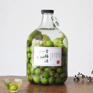 高档青梅酒杨梅酒空瓶自酿酵素长期储酒容器食品级大口径玻璃酒瓶