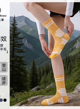 Sport's House运动之家徒步袜女中筒美利奴羊毛登山袜吸汗毛巾底