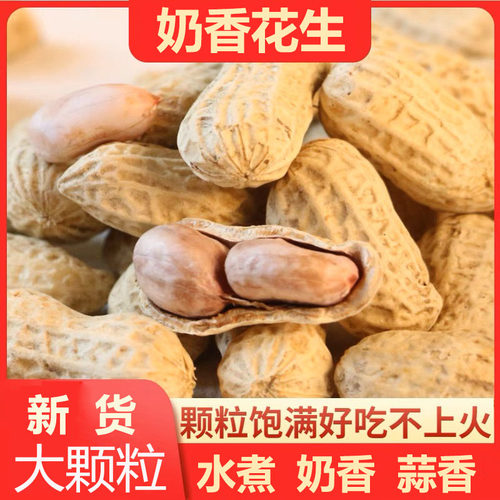 蒜香奶香花生4斤水煮带壳