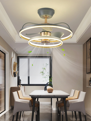 吊扇灯，吊扇灯，客厅，餐厅，现代轻豪华家居吊灯，电风扇集成餐